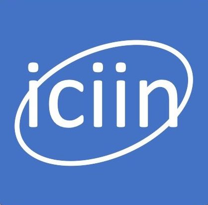Instituto ICIIN
